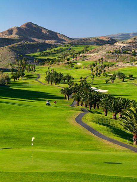 Salobre Golf Los Dragos Atico De Lujo エクステリア 写真